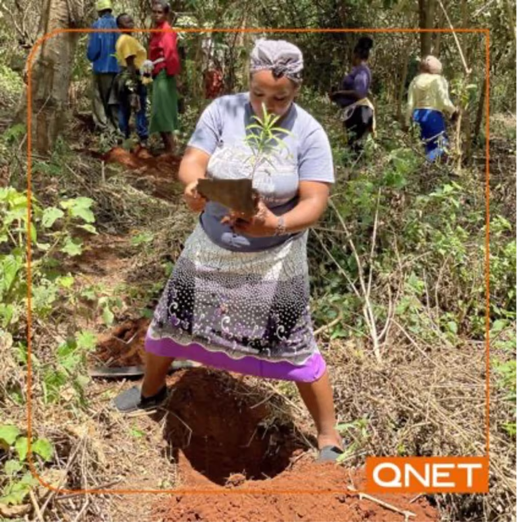 Kenya Is Latest To Contribute To The Qnet East Africa Green Legacy 3 east africa
