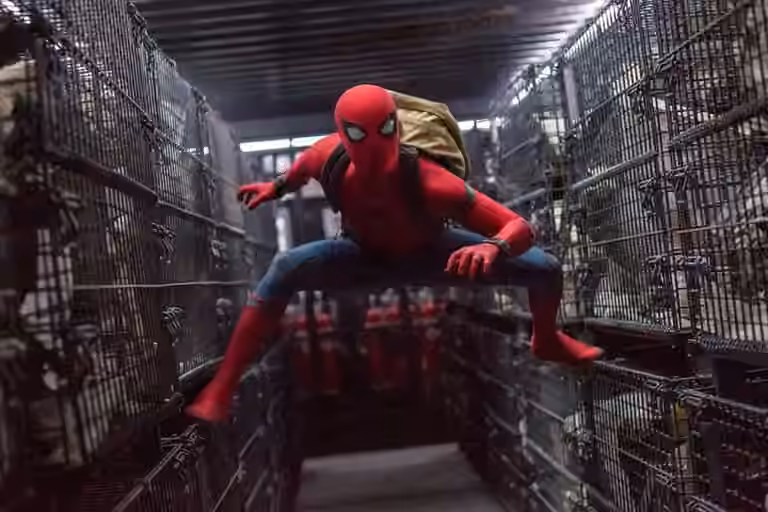 spiderman qnet qbuzz
