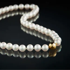 bhm_pearl_icons_collection